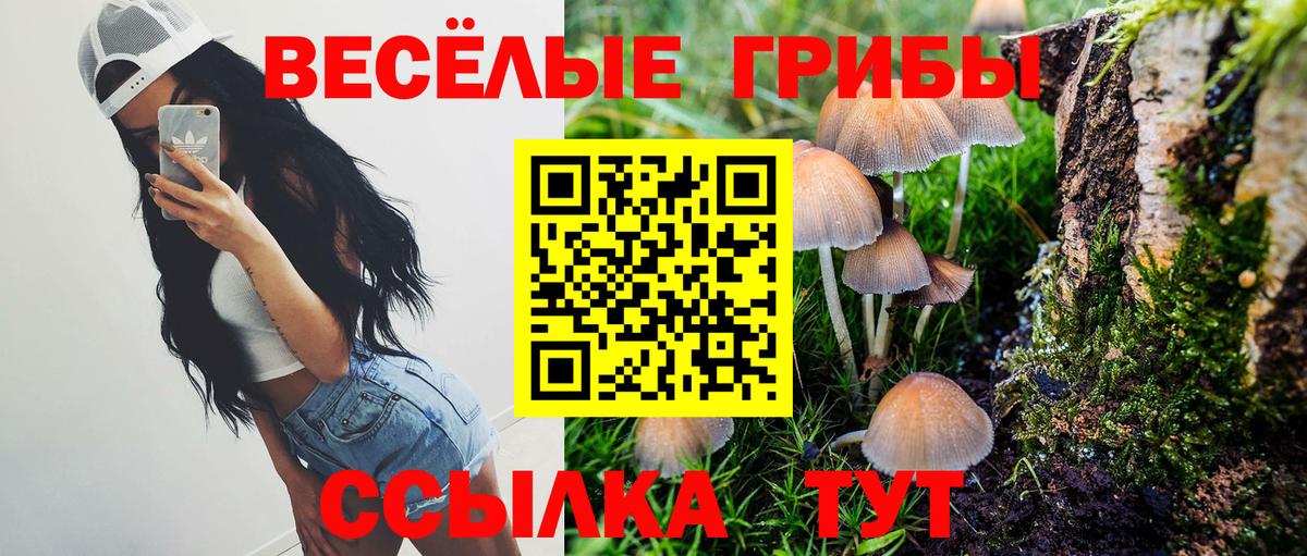 Галлюциногенные грибы Magic Shrooms Абакан